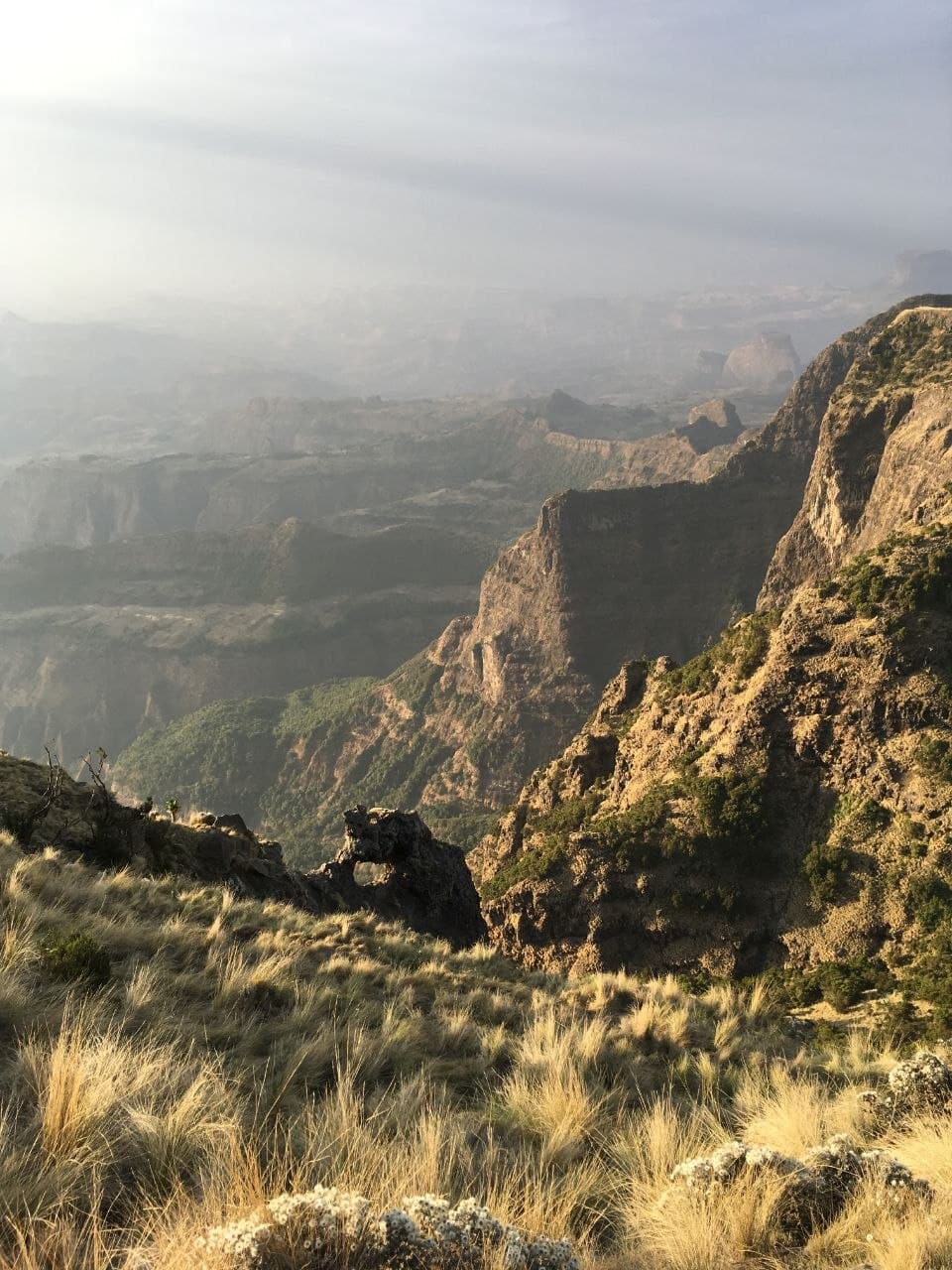 Trek through the 'Roof of Africa' - Ethiopia's spectacular Simien Mountains National Park, a UNESCO World Heritage site renowned for dramatic escarpments, deep valleys, and unique endemic wildlife inc